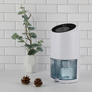 beats365(й)-Ψһٷվ